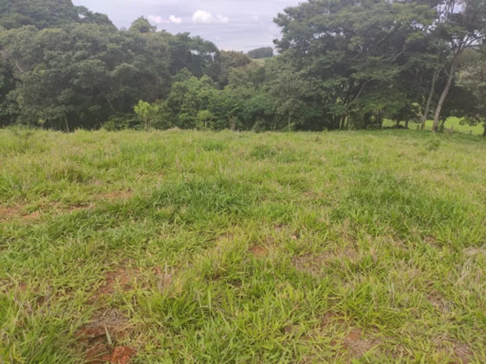 Terreno, 11 hectares - Foto 3