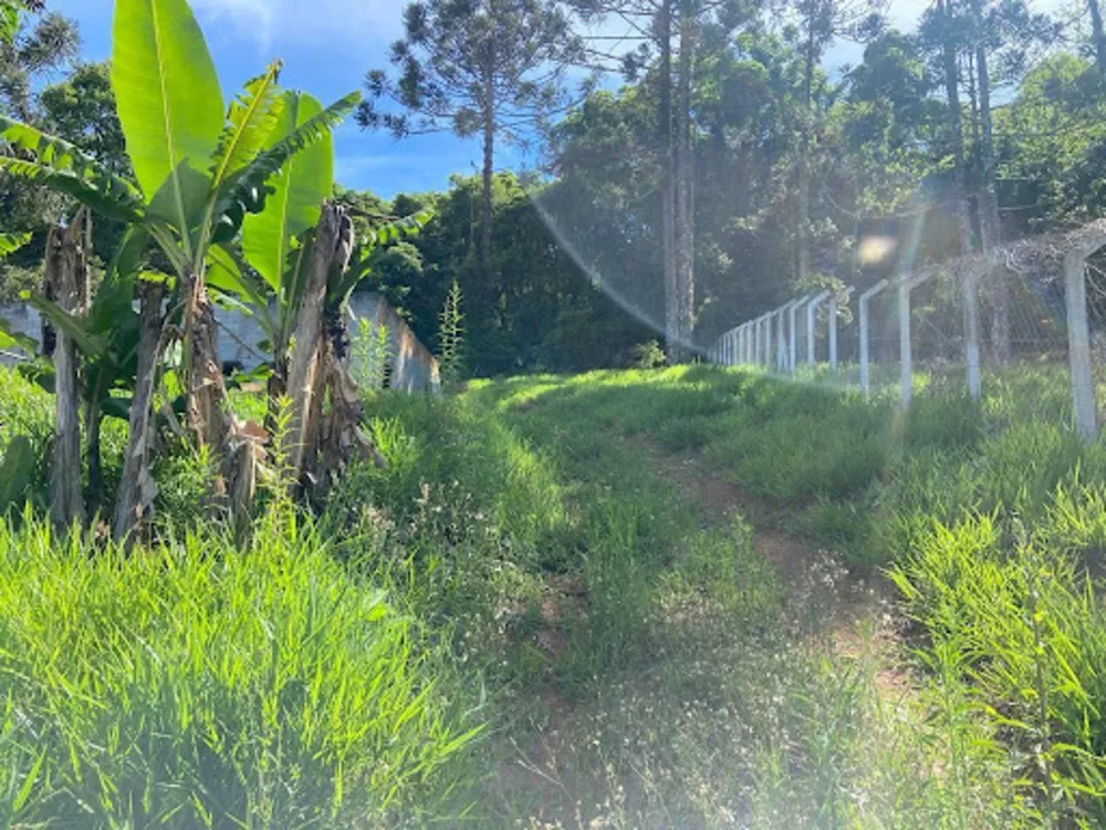 Chácara, 2 quartos, 1680 m² - Foto 2
