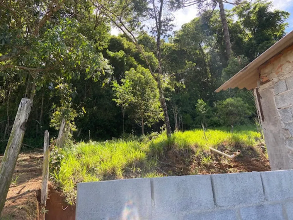 Chácara, 2 quartos, 1680 m² - Foto 4