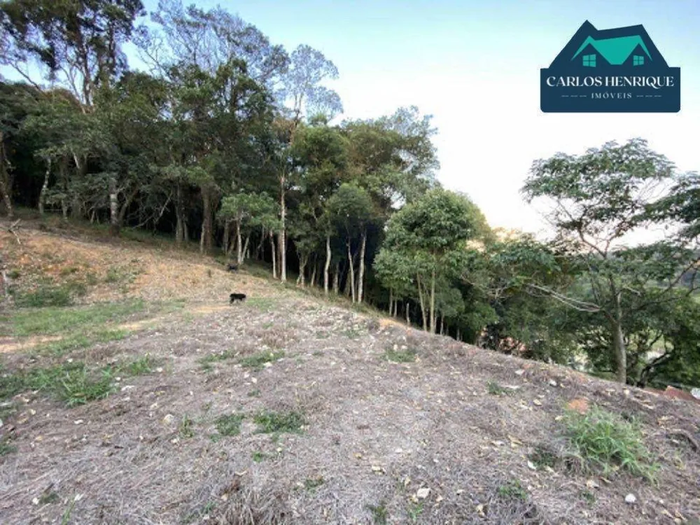 Terreno, 5000 m² - Foto 2