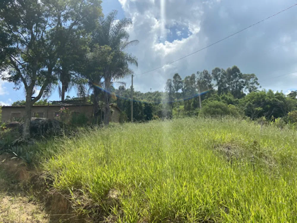 Sítio, 5 quartos, 2 hectares - Foto 4