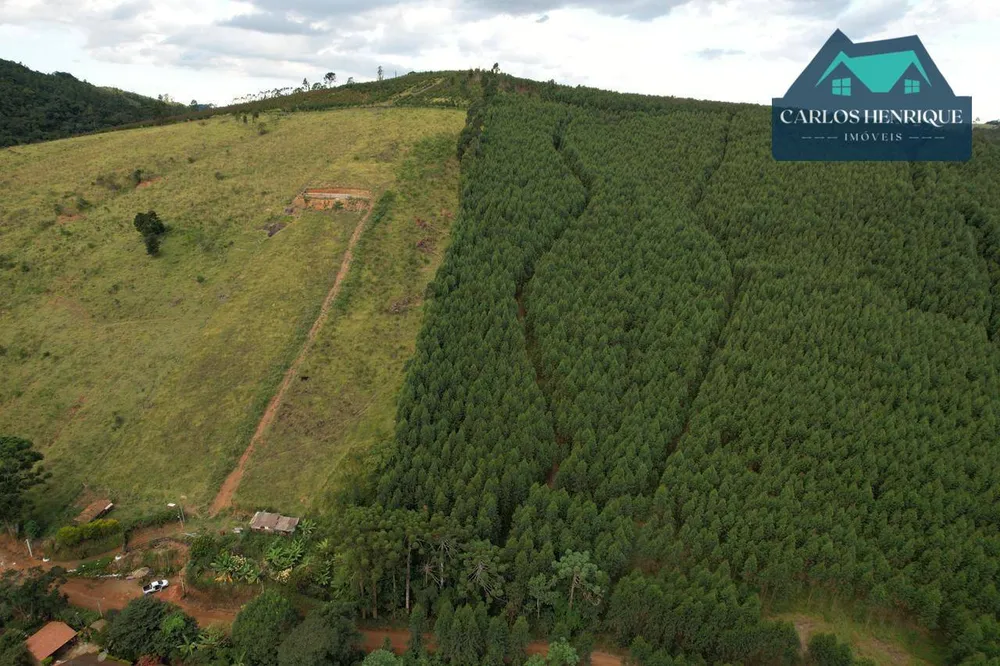 Terreno, 10000 m² - Foto 4