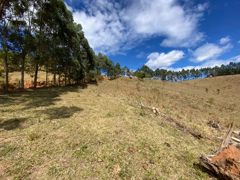 Terreno, 2500 m² - Foto 3