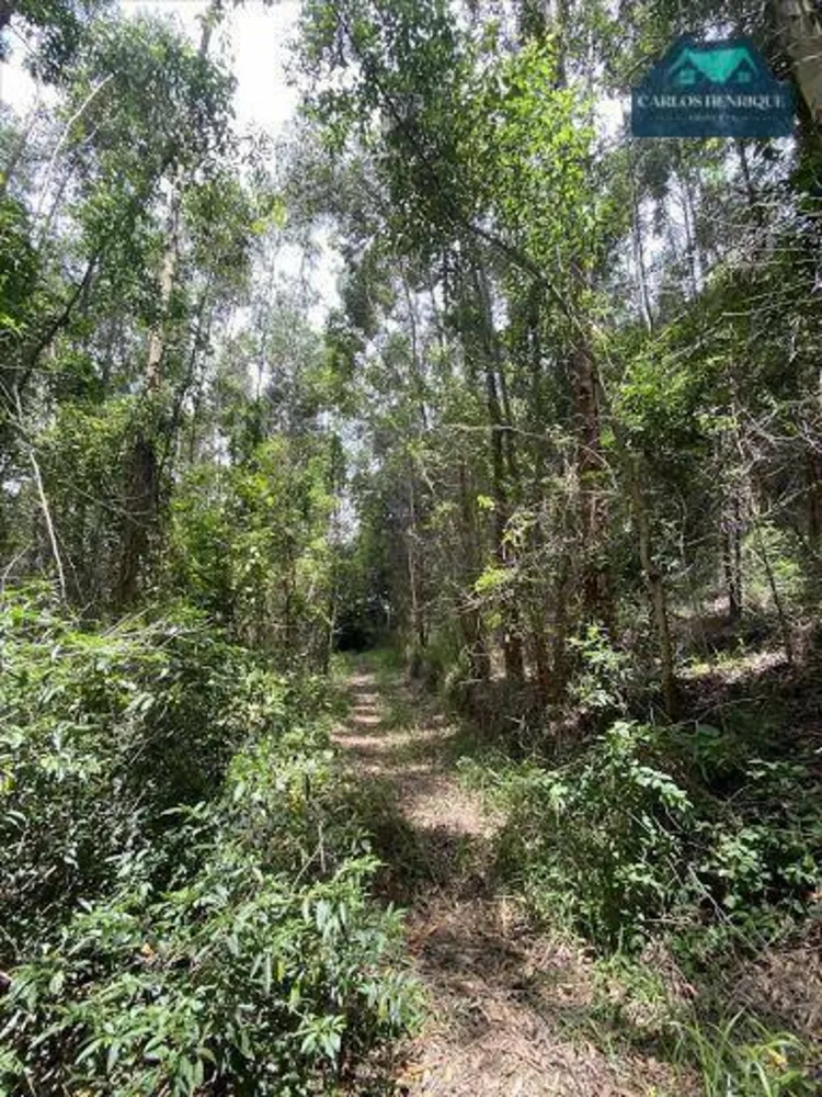 Terreno, 10 hectares - Foto 4