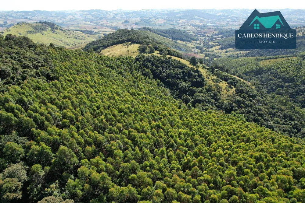 Terreno, 10 hectares - Foto 1
