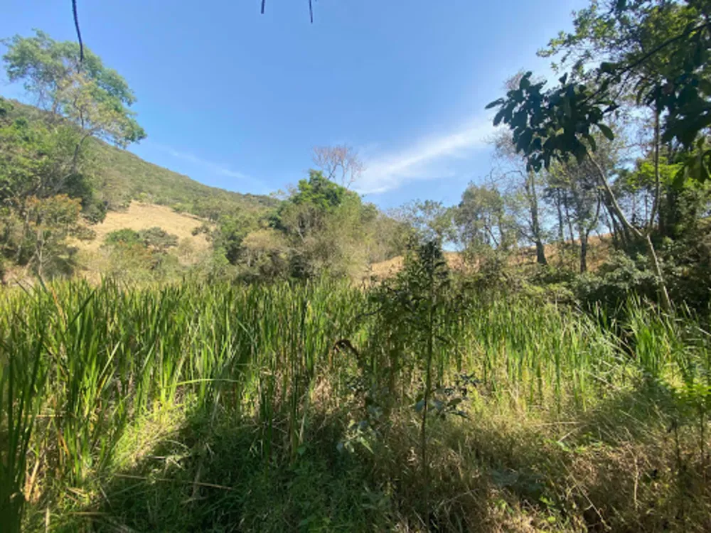 Terreno, 24 hectares - Foto 3