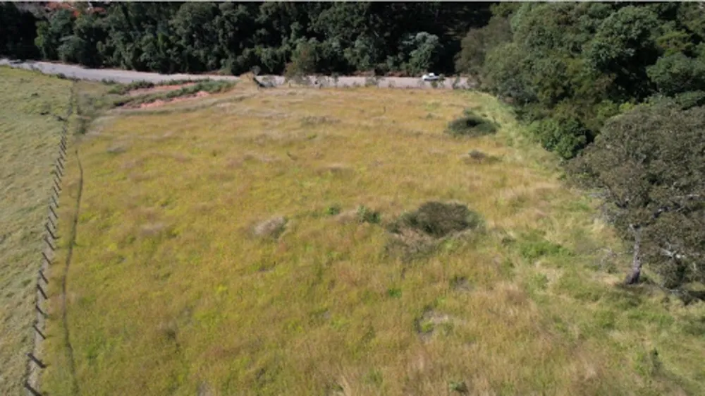 Terreno, 8000 m² - Foto 3