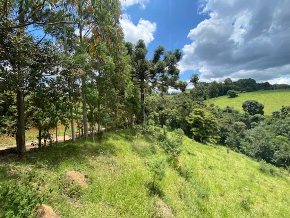 Terreno, 1700 m² - Foto 2