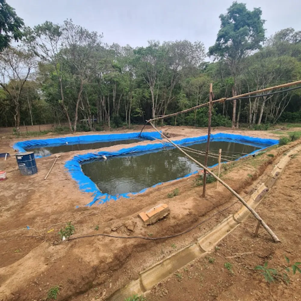 Chácara, 1 quarto, 4000 m² - Foto 1