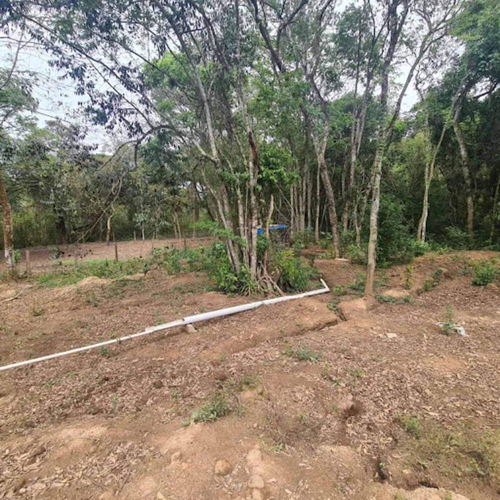 Chácara, 1 quarto, 4000 m² - Foto 2