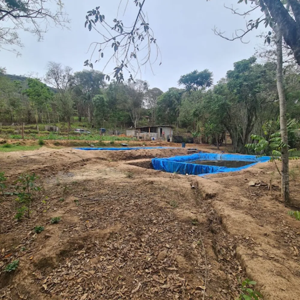Chácara, 1 quarto, 4000 m² - Foto 4