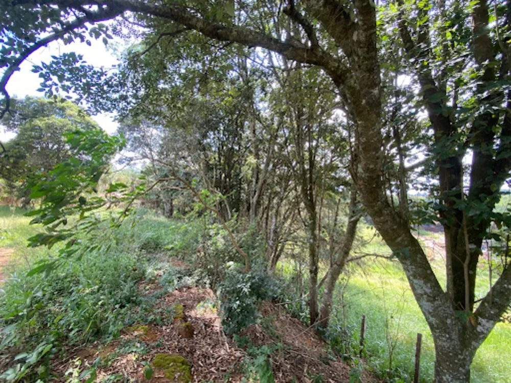 Terreno, 2400 m² - Foto 2
