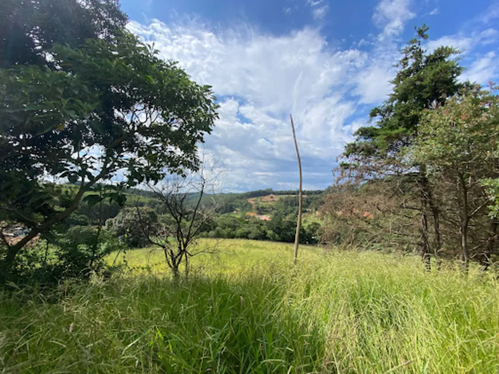 Terreno, 2400 m² - Foto 4