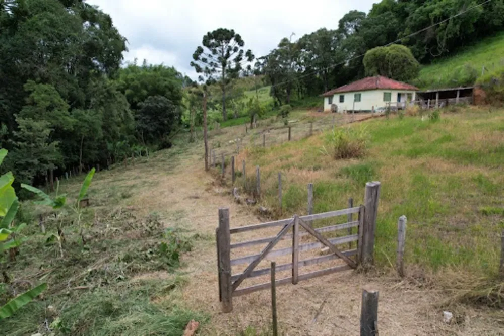 Sítio, 2 quartos, 6000 m² - Foto 1