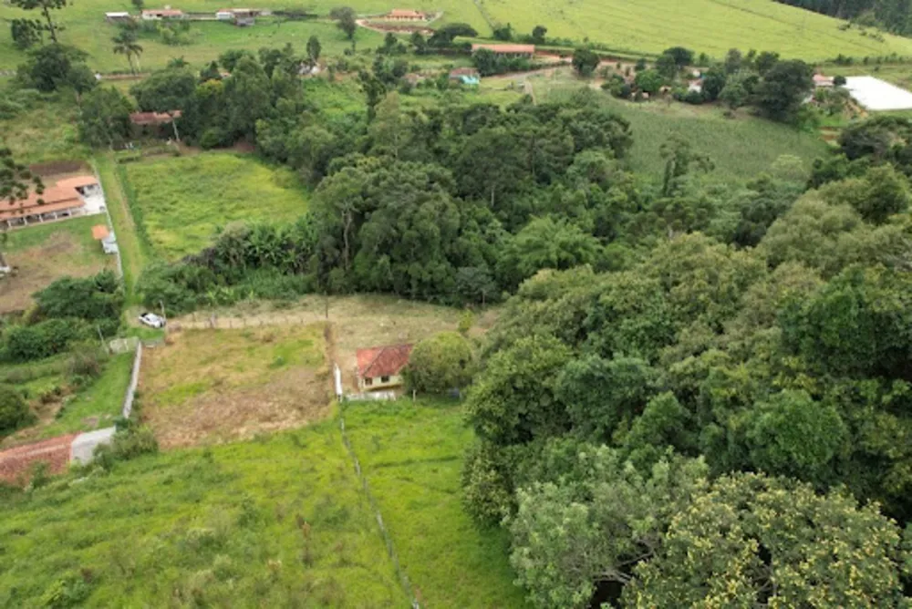 Sítio, 2 quartos, 6000 m² - Foto 4