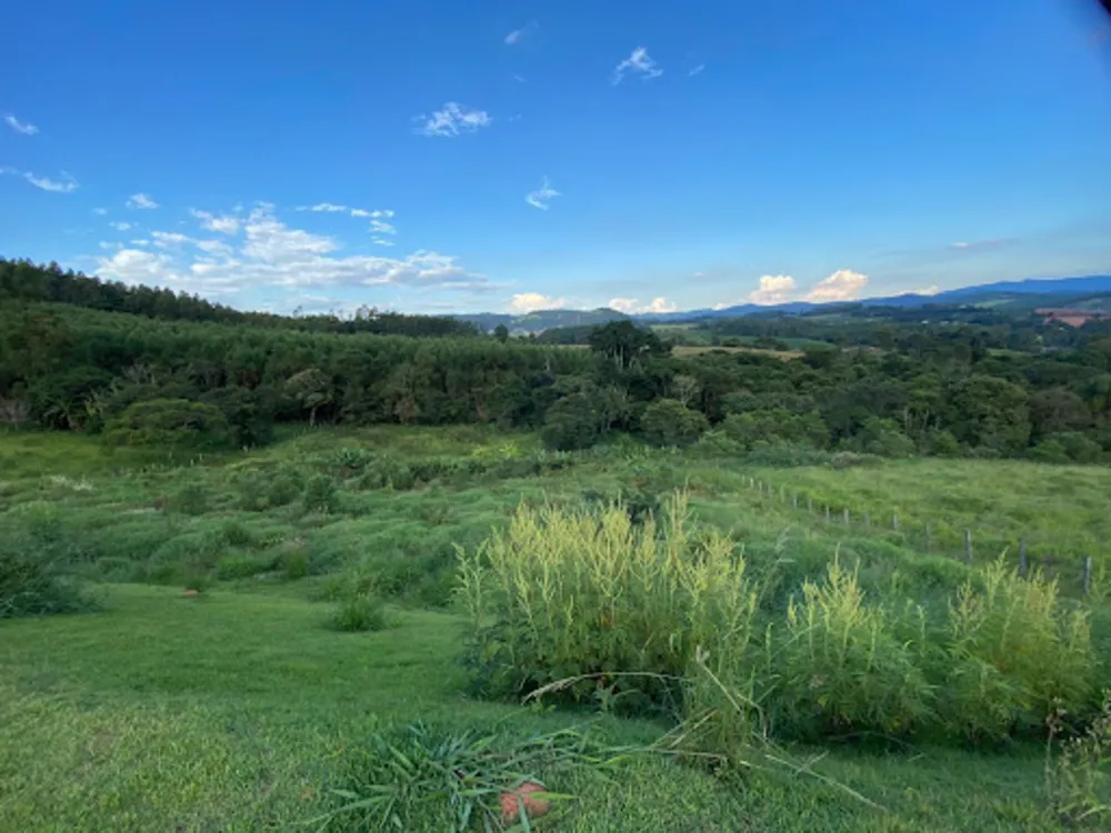 Terreno, 9000 m² - Foto 4