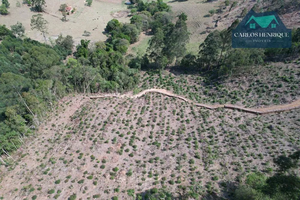 Terreno, 3 hectares - Foto 4