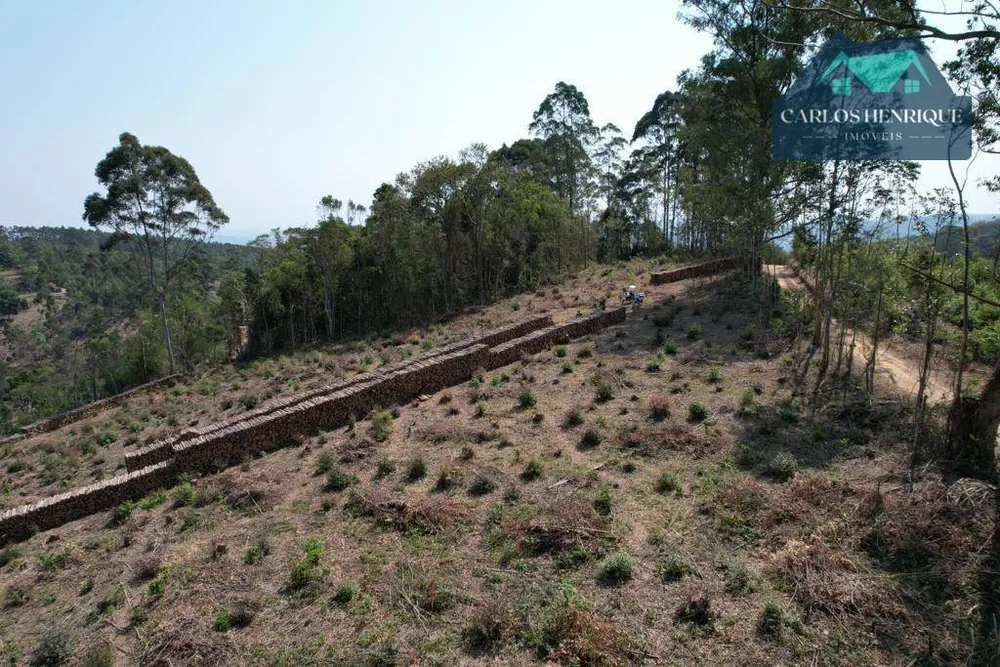 Terreno, 3 hectares - Foto 2