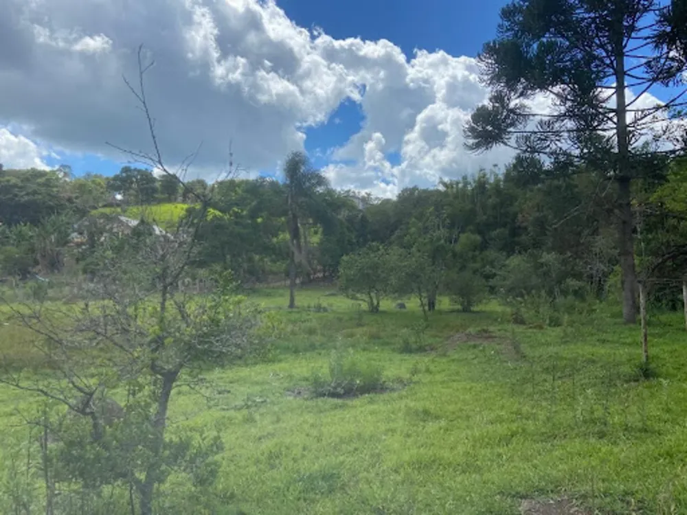 Chácara, 2 quartos, 7500 m² - Foto 3