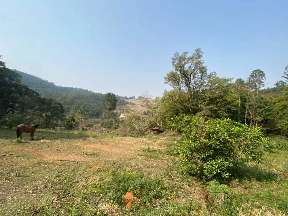 Terreno, 4 hectares - Foto 1