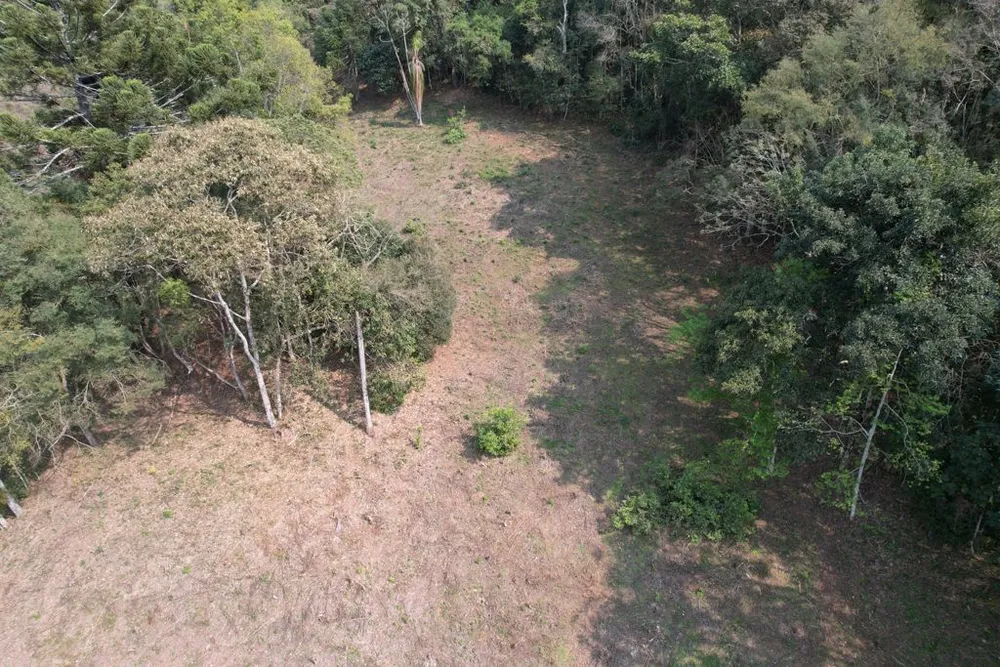 Terreno, 4 hectares - Foto 2