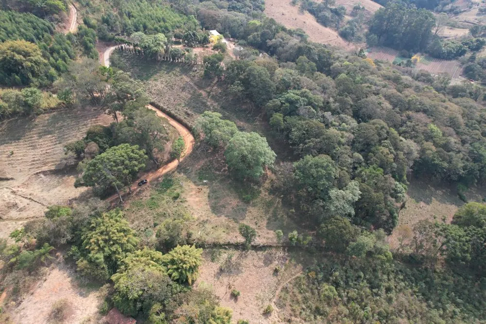Terreno, 4 hectares - Foto 4