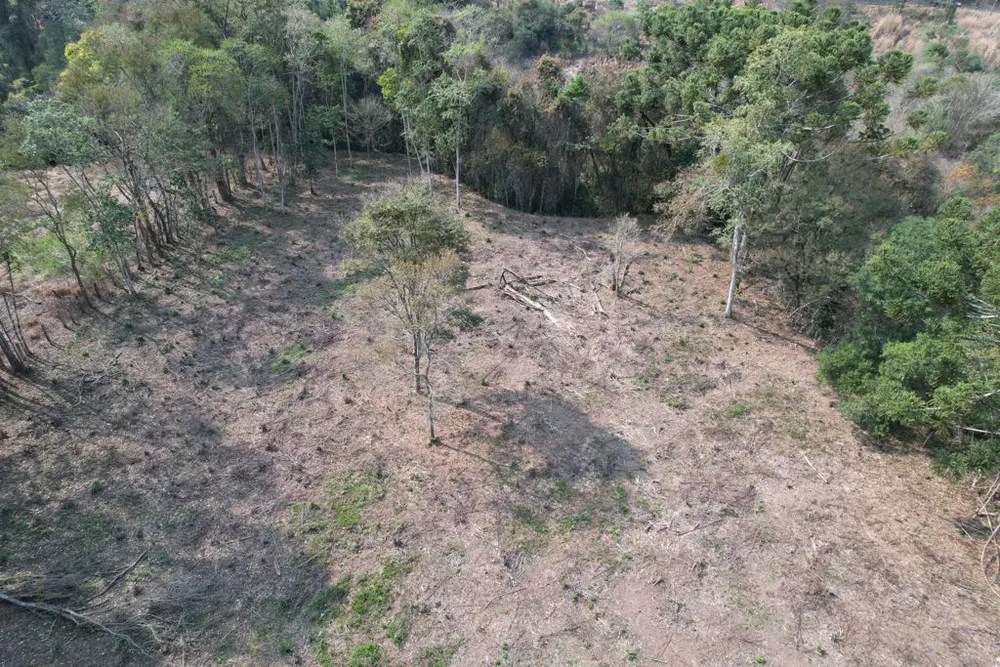Terreno, 4 hectares - Foto 3