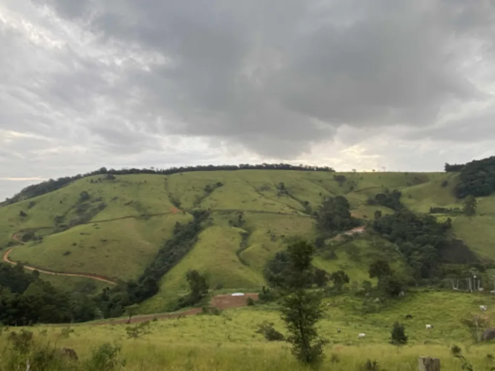 Fazenda, 53 hectares - Foto 1