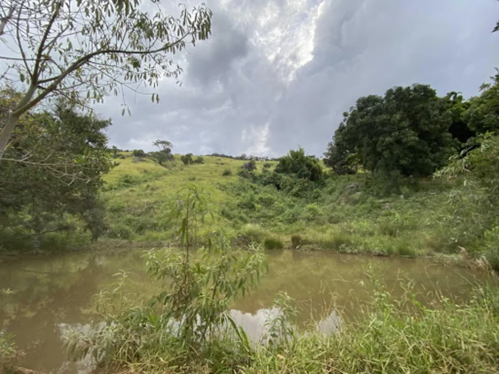 Fazenda, 53 hectares - Foto 3