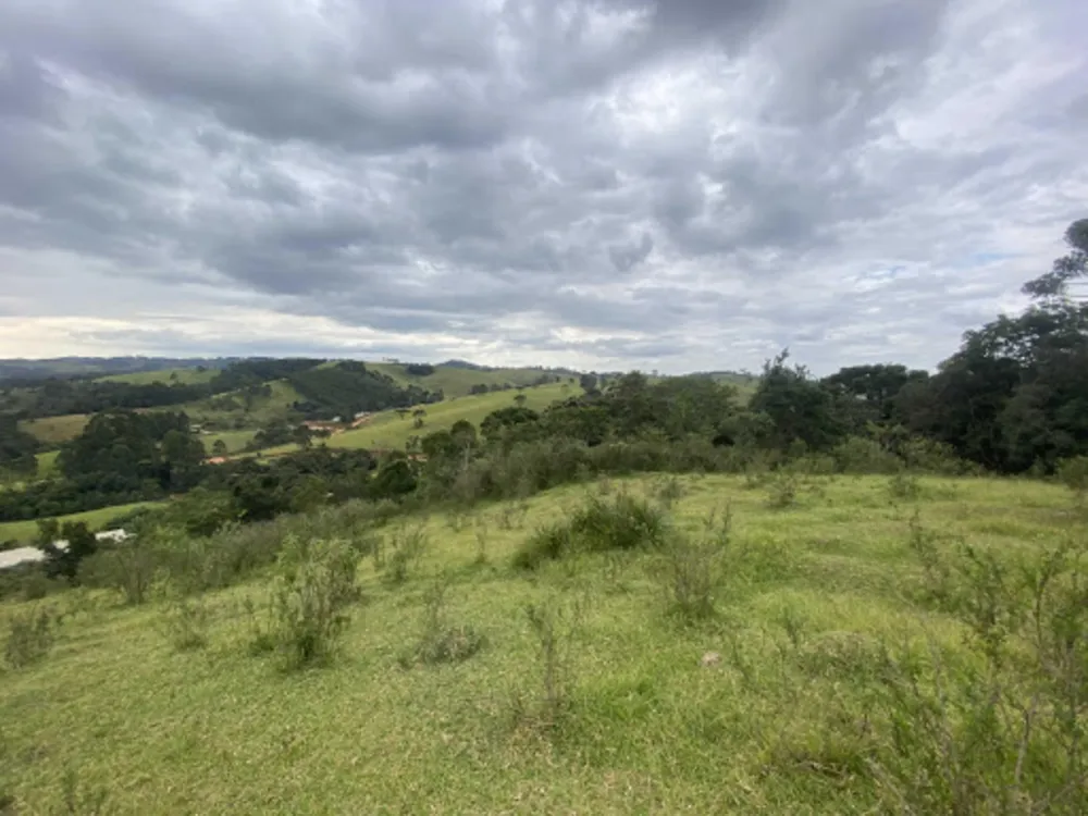 Fazenda, 53 hectares - Foto 4