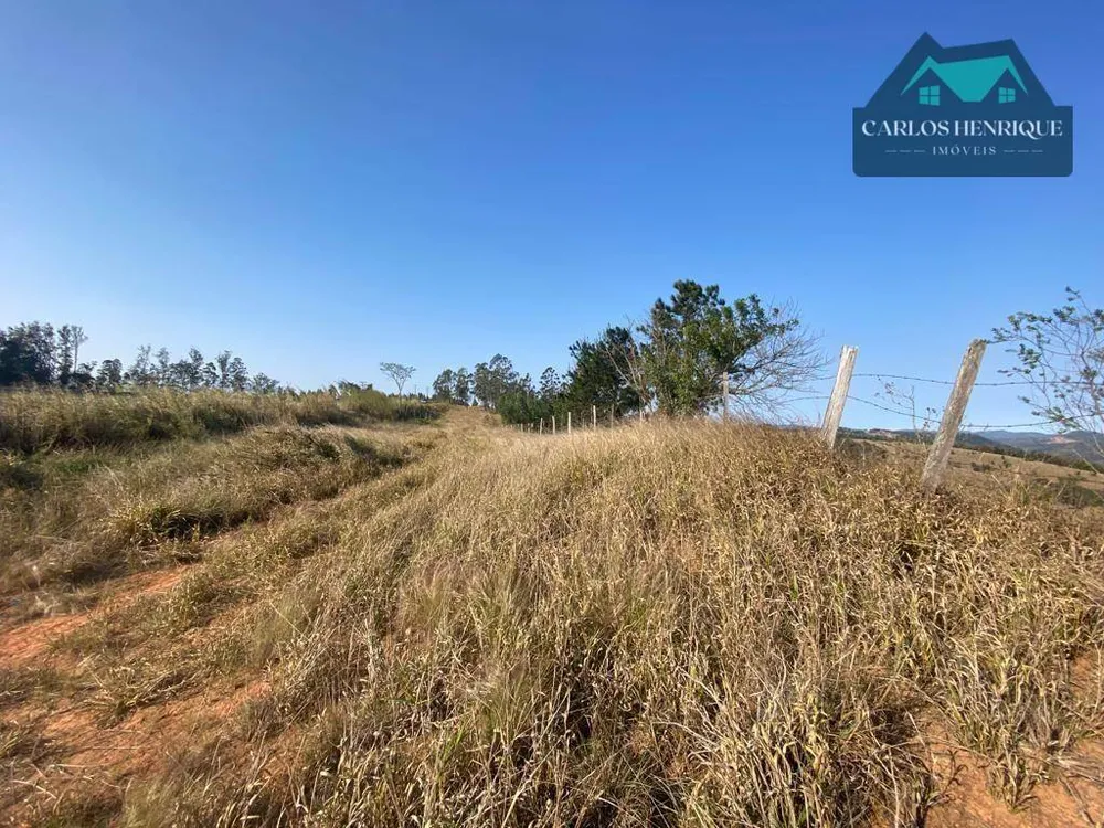 Terreno, 4 hectares - Foto 4