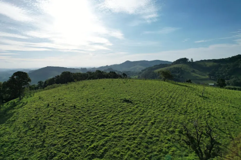 Terreno, 20 hectares - Foto 1
