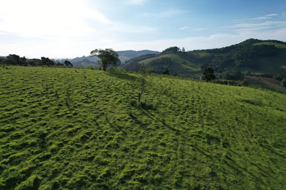 Terreno, 20 hectares - Foto 4