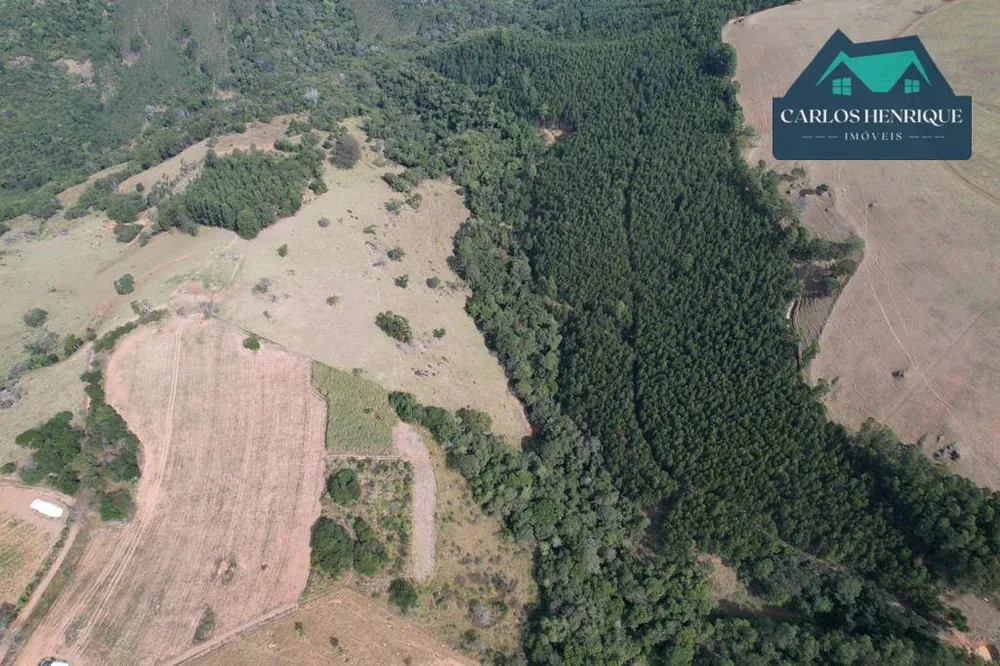 Fazenda, 56 hectares - Foto 4
