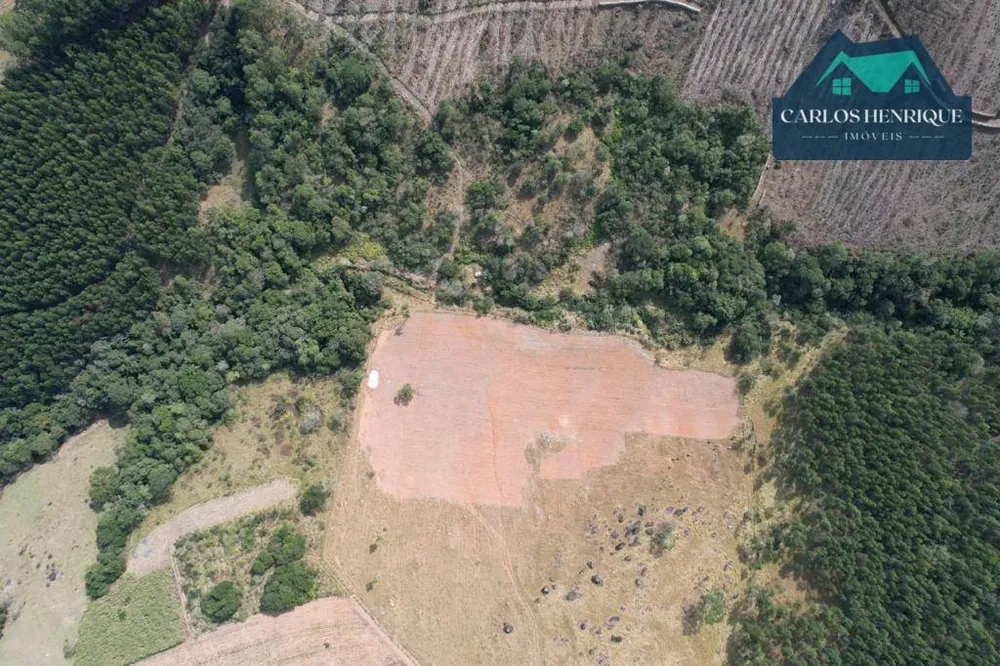 Fazenda, 56 hectares - Foto 3