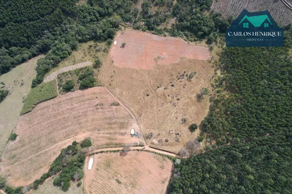 Fazenda, 56 hectares - Foto 2