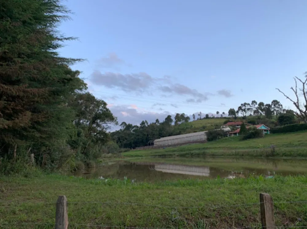 Terreno, 9000 m² - Foto 1