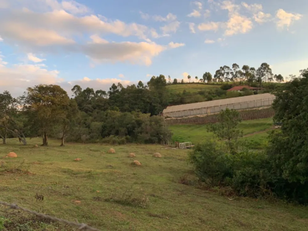 Terreno, 9000 m² - Foto 3
