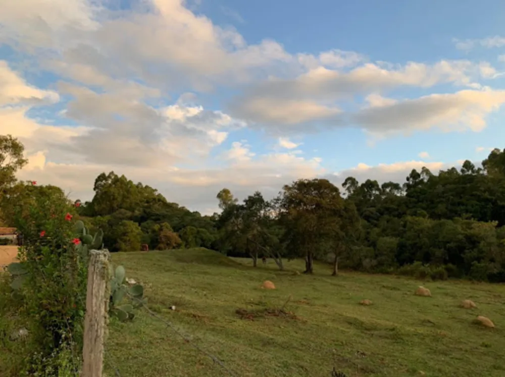 Terreno, 9000 m² - Foto 4
