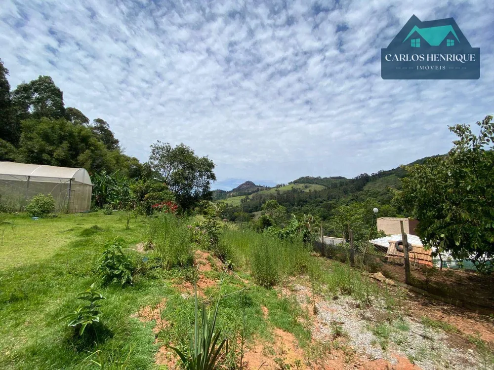 Terreno, 3 hectares - Foto 3