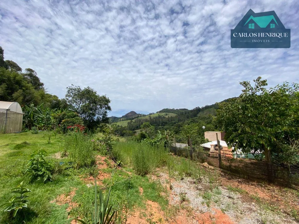 Terreno, 3 hectares - Foto 4