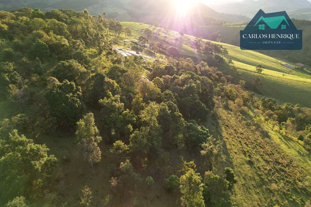 Terreno, 2 hectares - Foto 4