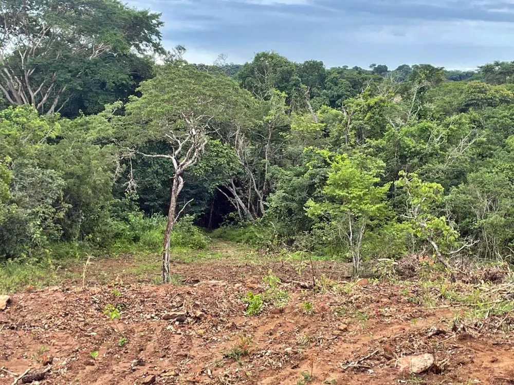 Chácara, 3440 m² - Foto 11