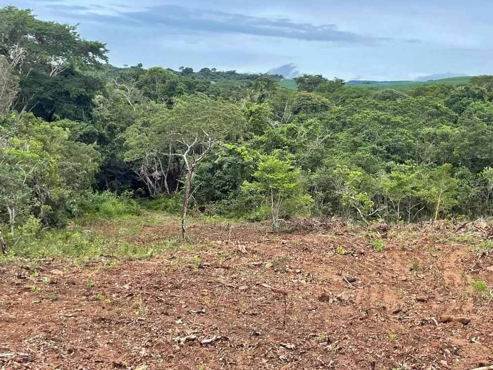 Chácara, 3440 m² - Foto 16