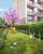 Apartamento, 2 quartos, 43 m² - Foto 4