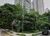 Apartamento, 4 quartos, 346 m² - Foto 4