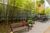 Sala-Conjunto, 248 m² - Foto 2