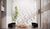 Apartamento, 1 quarto, 27 m² - Foto 2