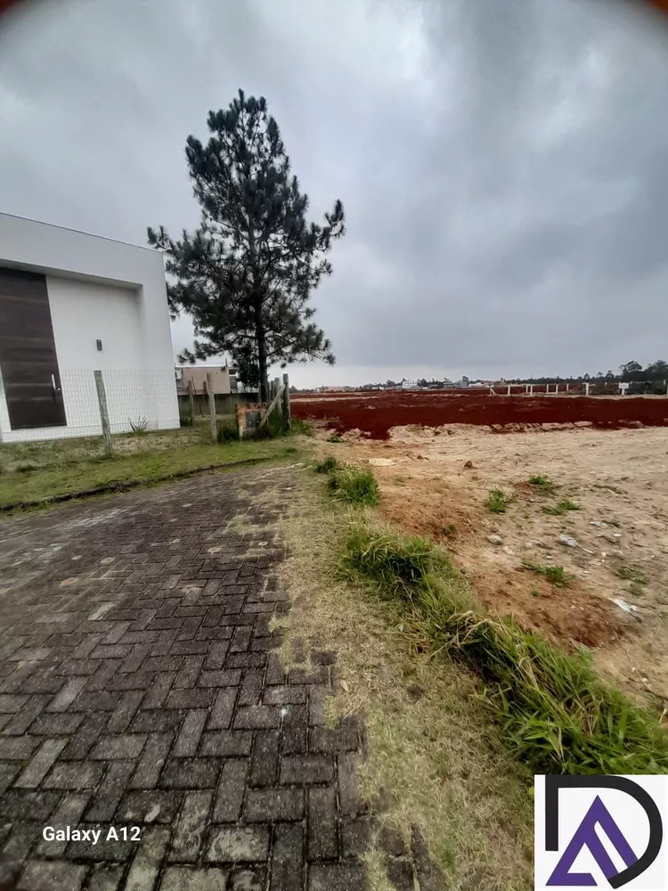 Terreno, 300 m² - Foto 4