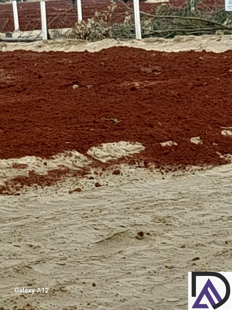 Terreno, 300 m² - Foto 14